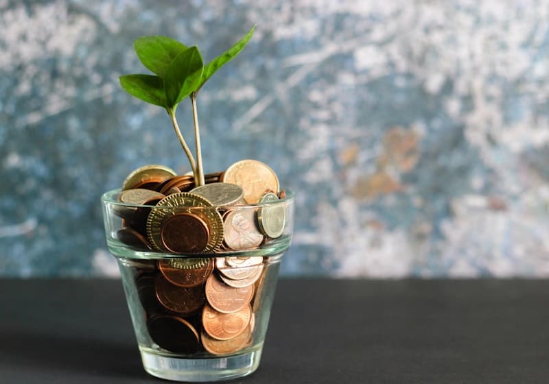 Non-Guaranteed Dividends on Top